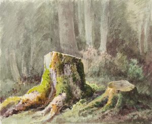 Bemooste Baumstümpfe im Wald