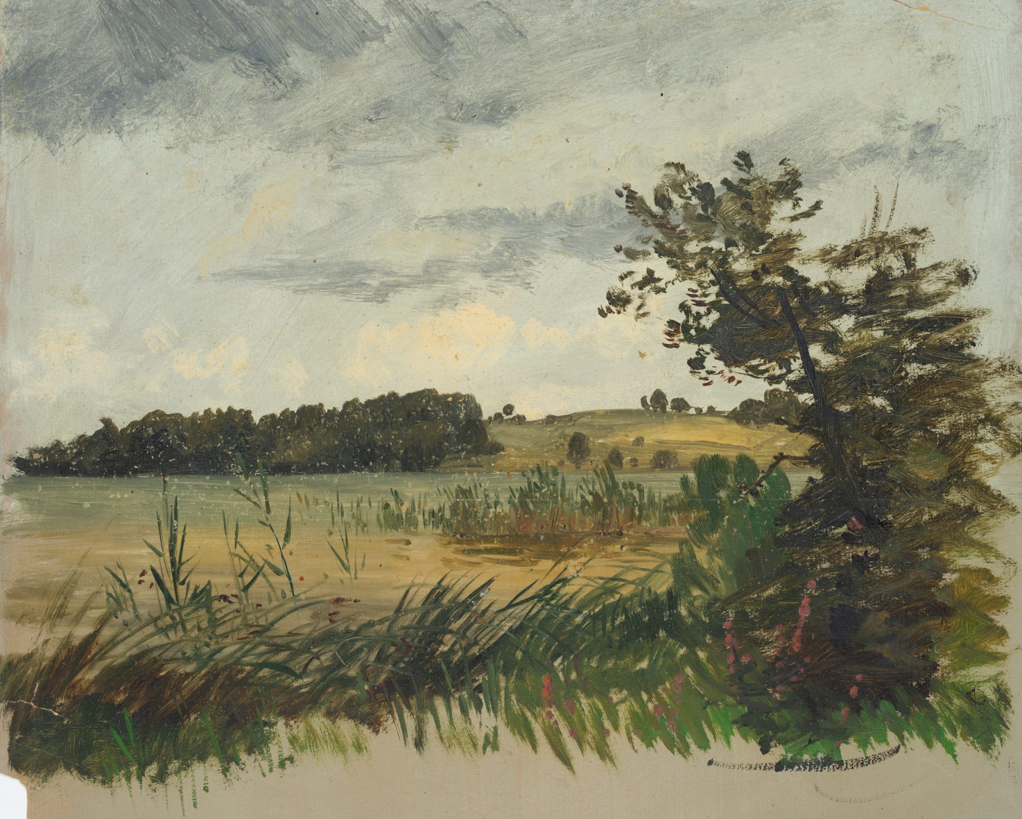 Moorlandschaft, Naturstudie