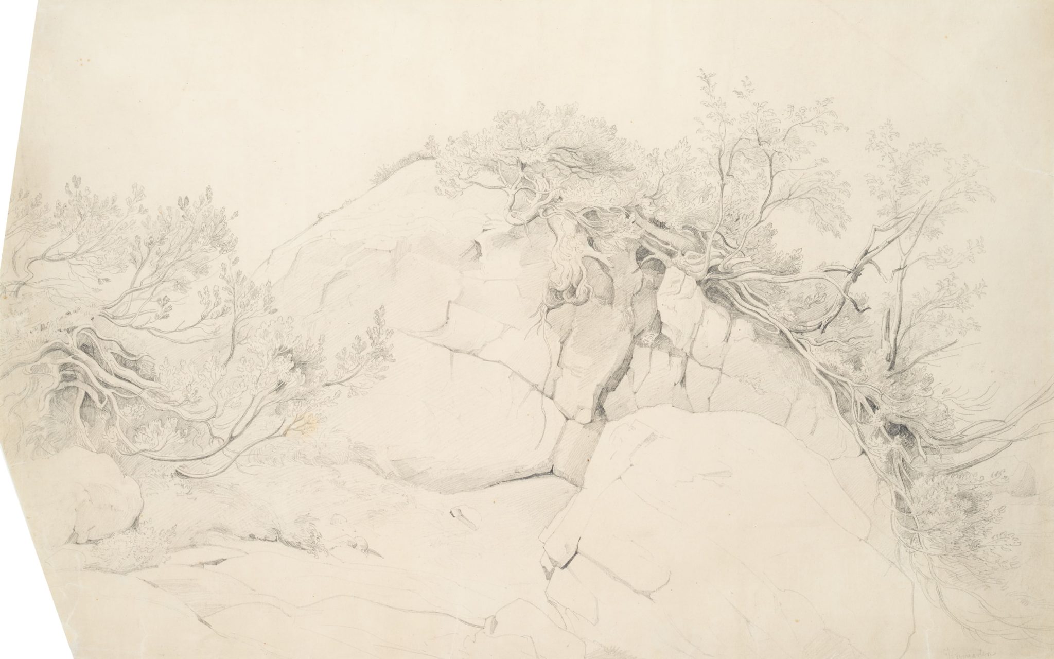 Bewachsener Felsen