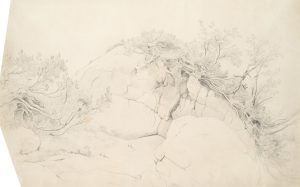 Bewachsener Felsen