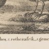 Ansicht 5