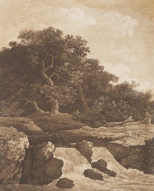 Rauschender Fluss am Waldrand