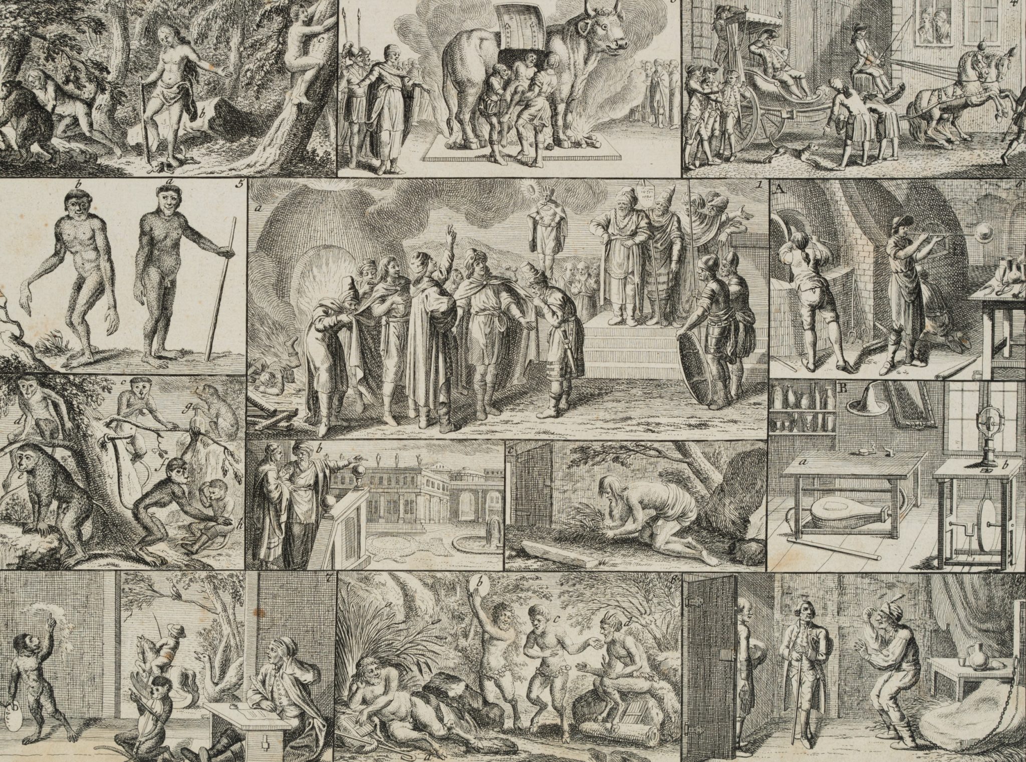 Bilder-Akademie, Tab.XXXI