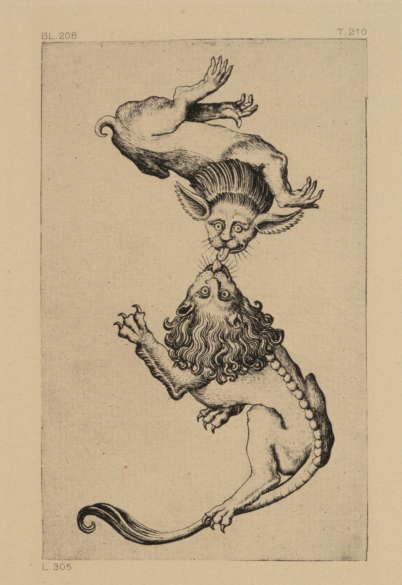 Figurenalphabet. Buchstabe Z. Reichsdruck