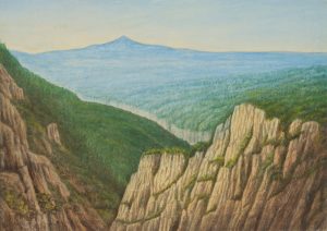Harzlandschaft