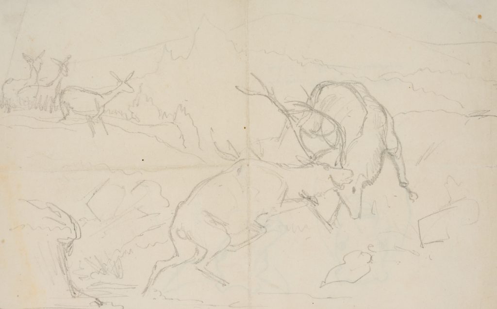 Werk von Carl Friedrich Deiker