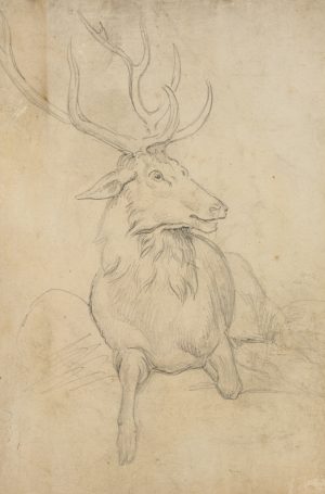 Liegender Hirsch