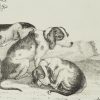 Ansicht 4