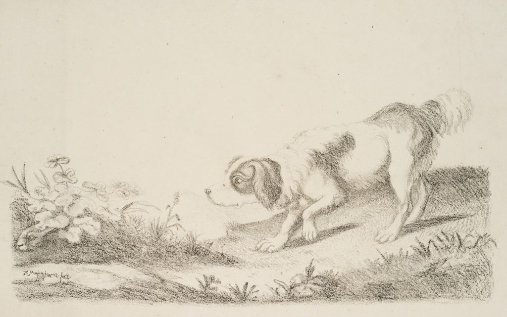 Werk von F.E. Meyer