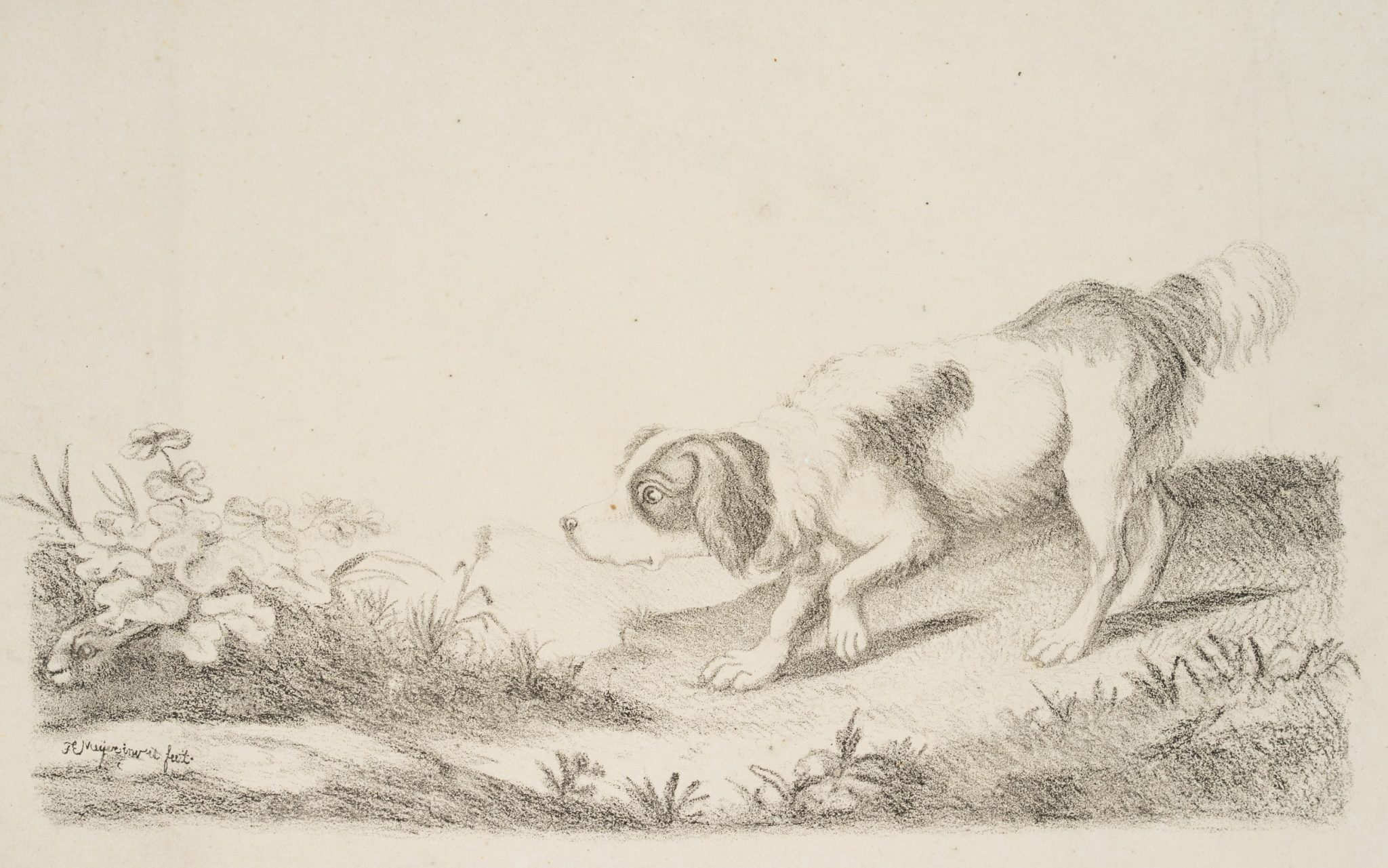 Pirschender Jagdhund