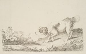 Pirschender Jagdhund