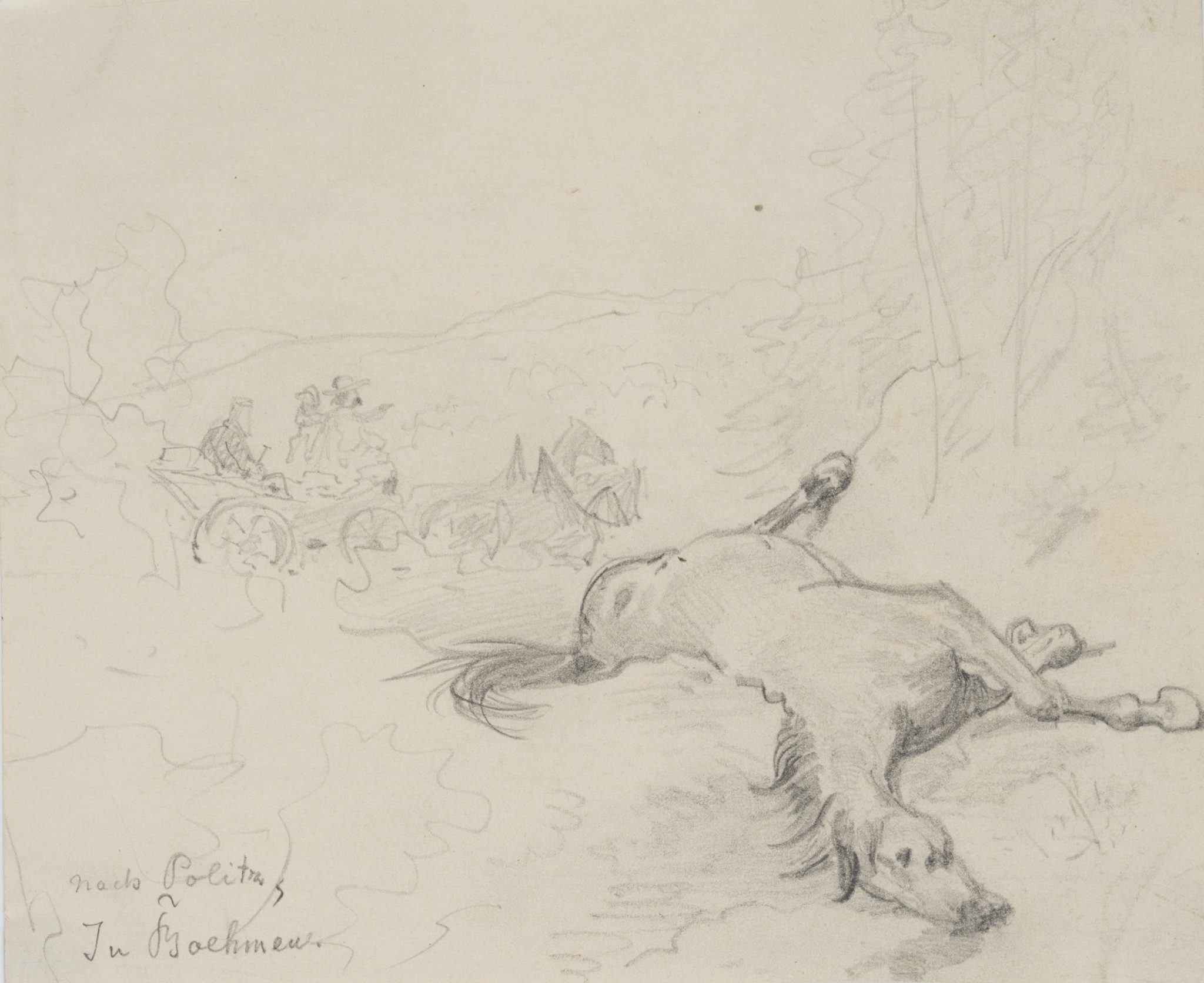 Leblos in der Landschaft liegendes Pferd