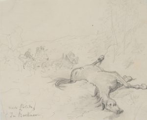 Leblos in der Landschaft liegendes Pferd