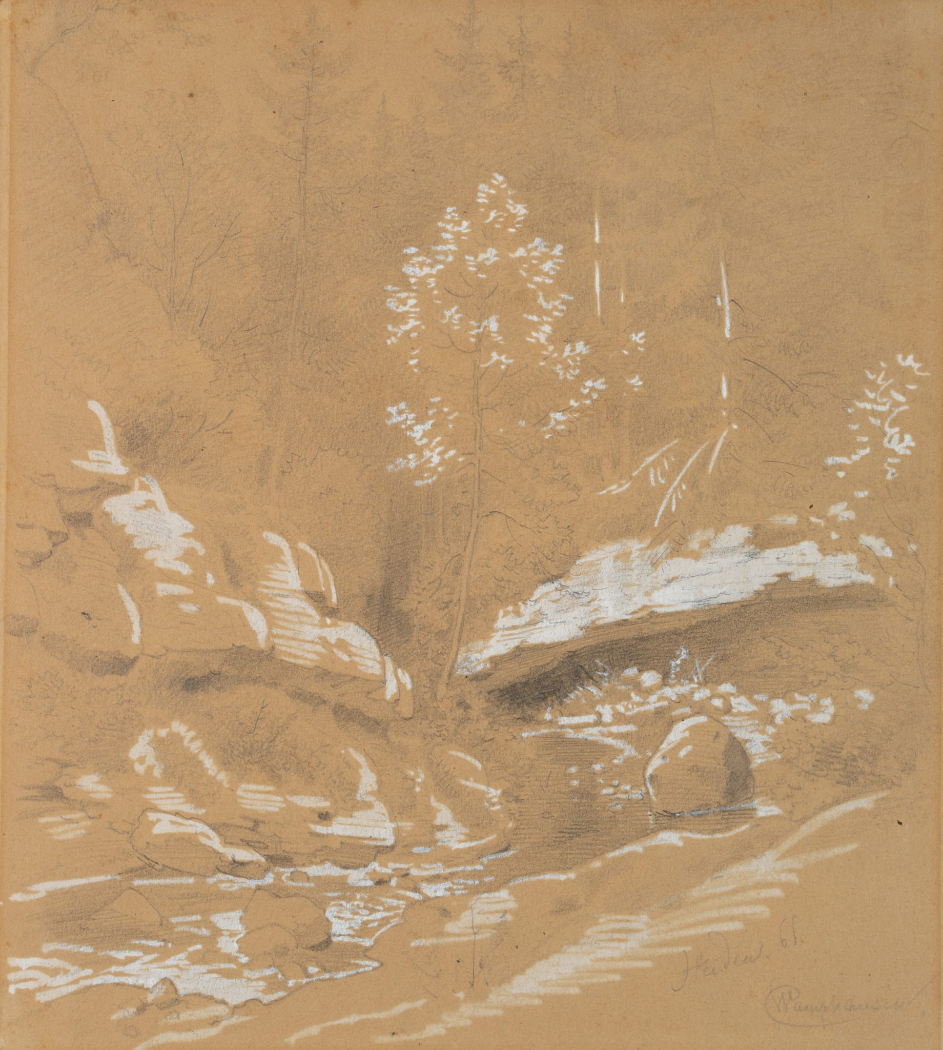 Waldstück mit Flusslauf. Naturlandschaft
