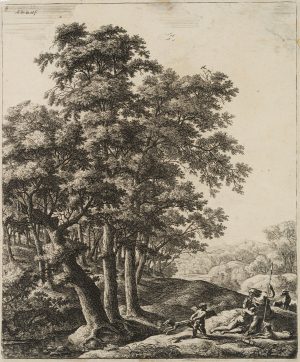 Venus und Adonis
