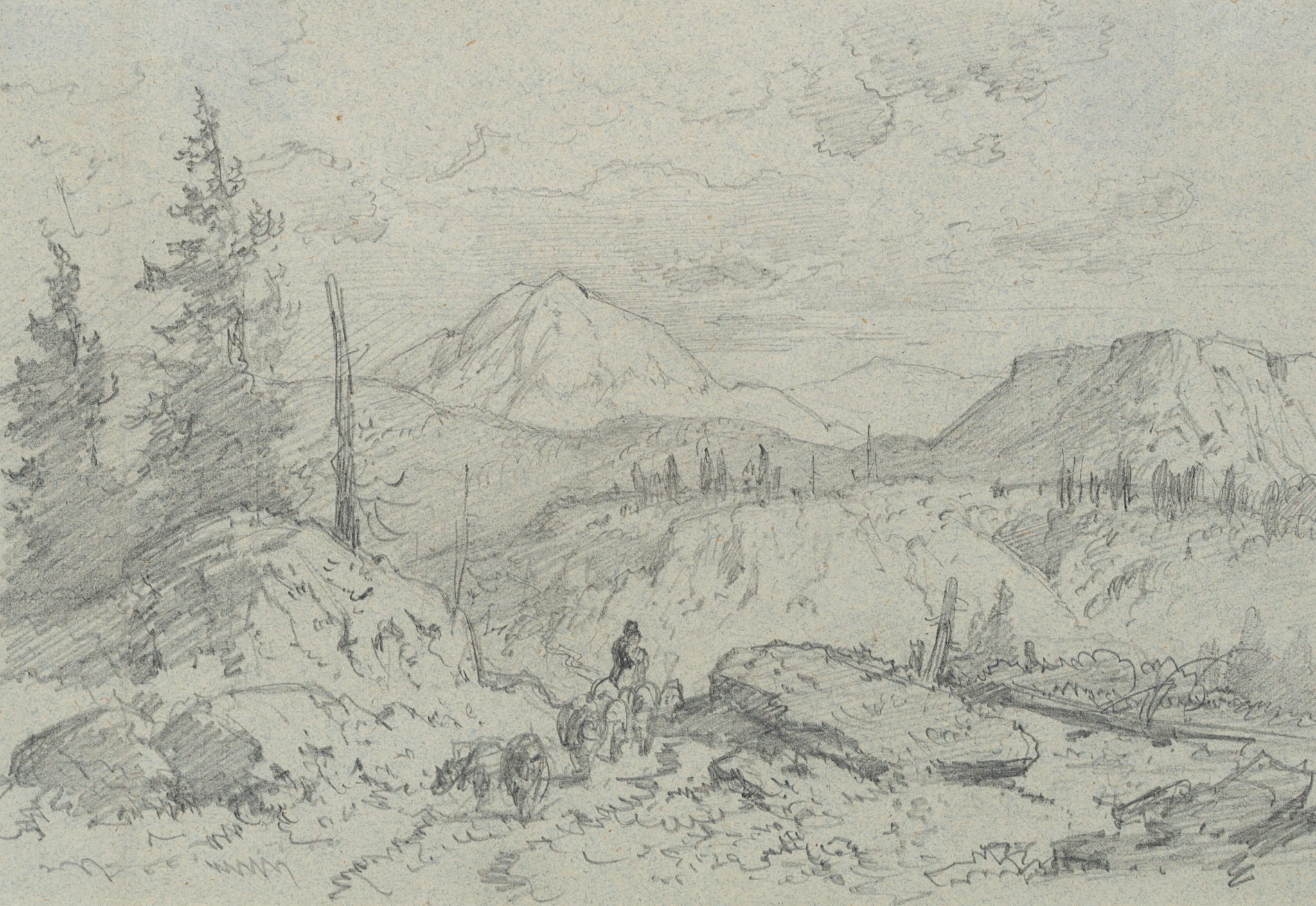 Landschaft mit Bergen, Wiesen und Wäldern