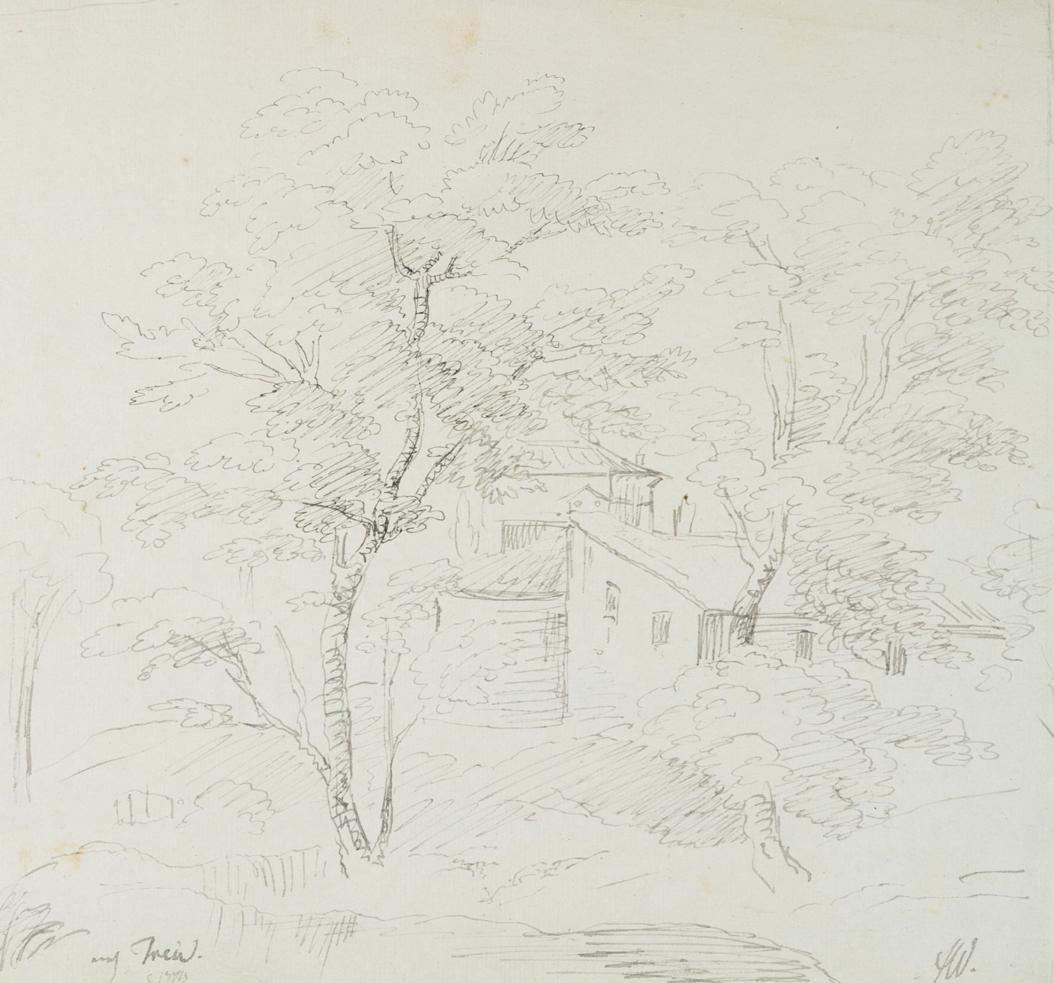Waldstück mit Bäumen und Architektur