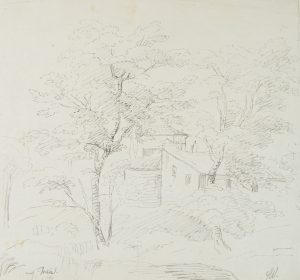 Waldstück mit Bäumen und Architektur