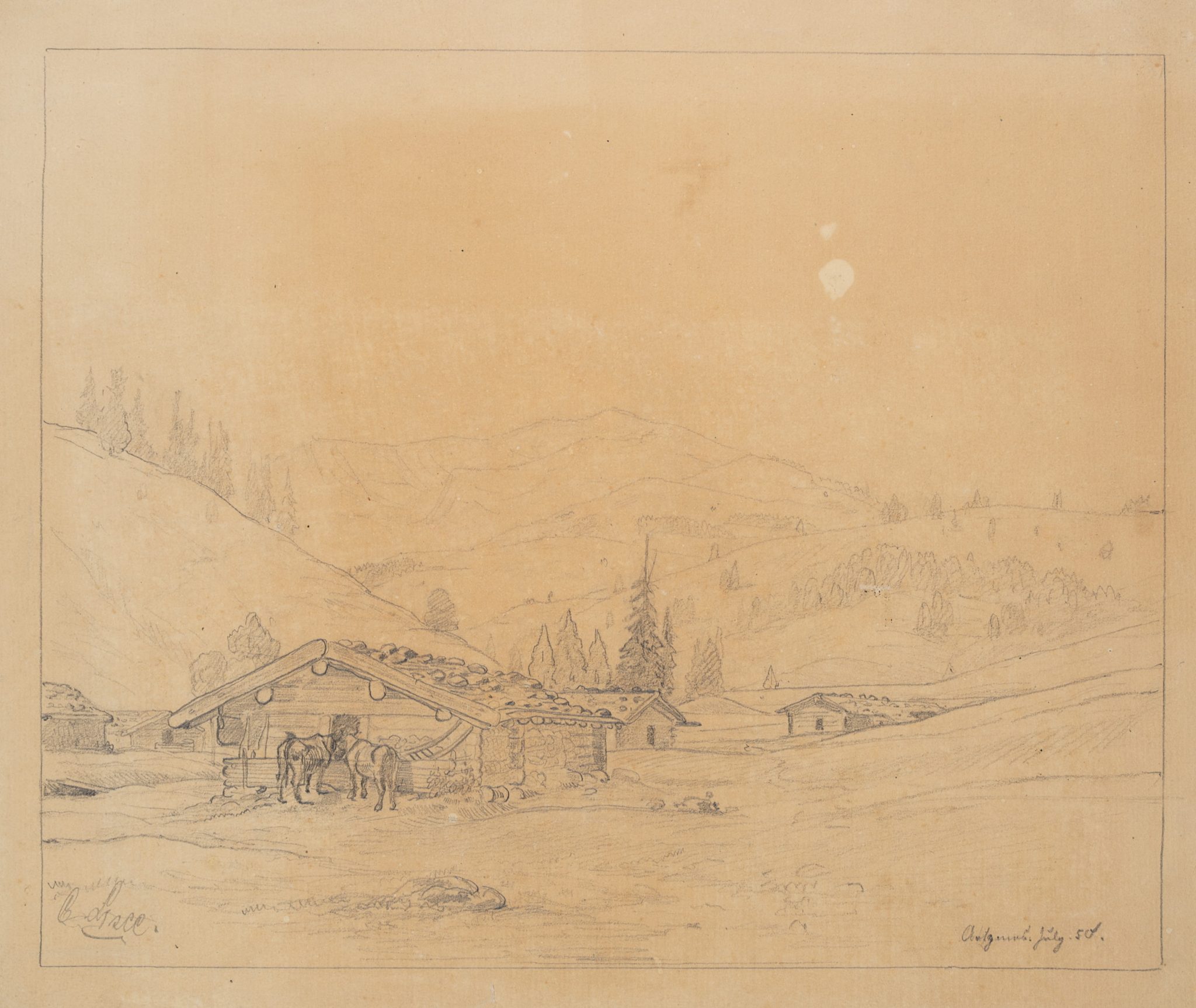 Hügelige Wiesenlandschaft mit Almhütten