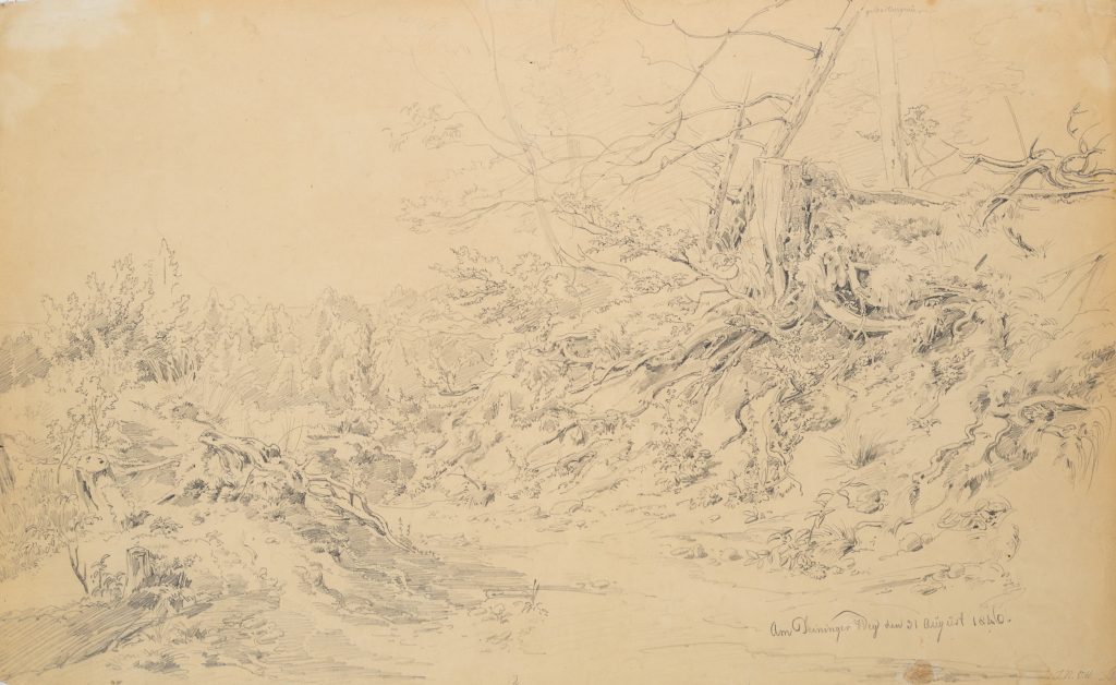 Werk von Johann Nepomuk Ott