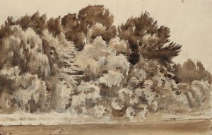 Expressives Waldstück aus Laubbäumen