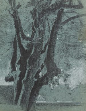 Baumstudie. Gruppe von drei Baumstämmen