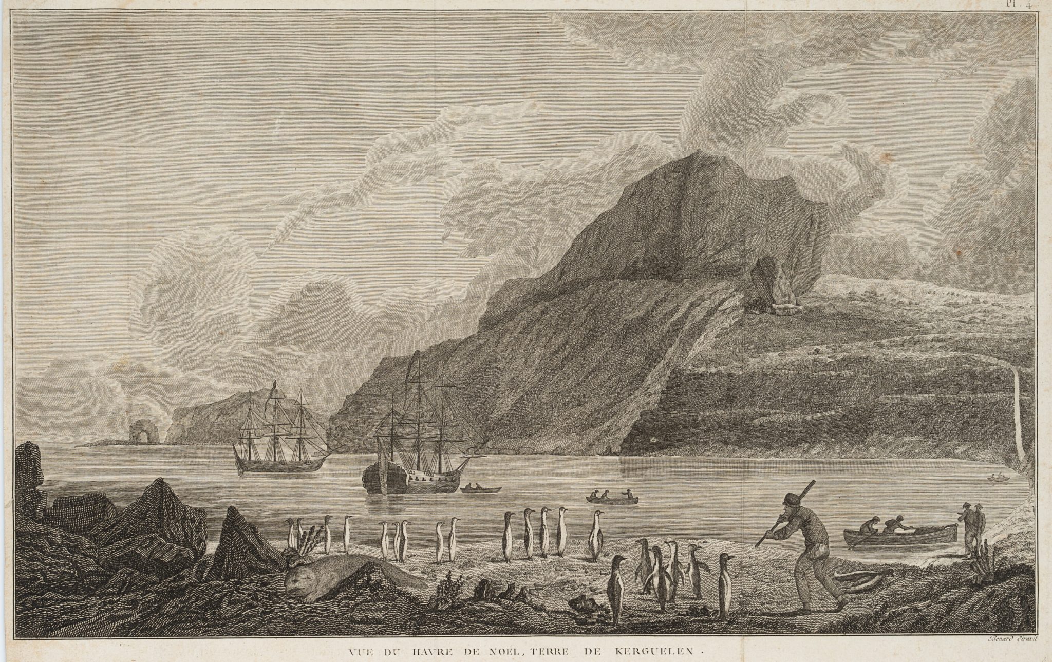 Vue du Havre de Noel, Terre de Kerguelen