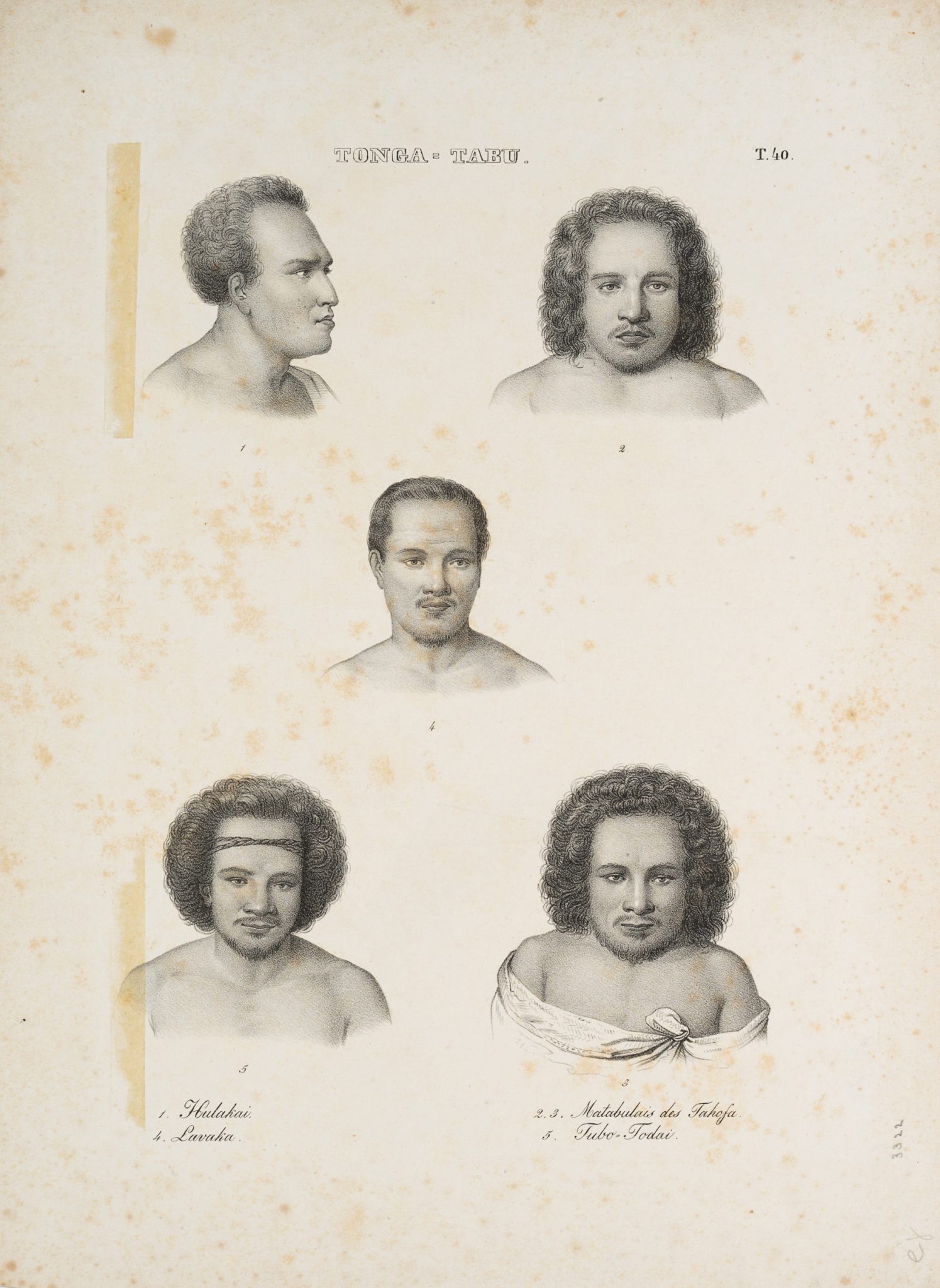 Brustbilder der Bewohner von Tonga Tabu
