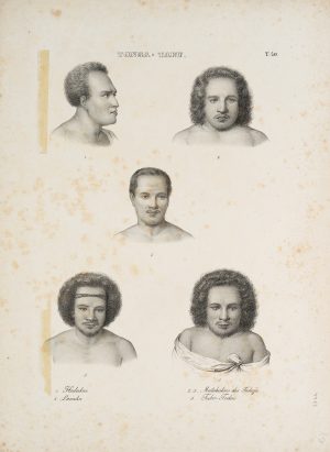 Brustbilder der Bewohner von Tonga Tabu
