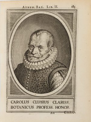 Portrait des Carolus Clusius