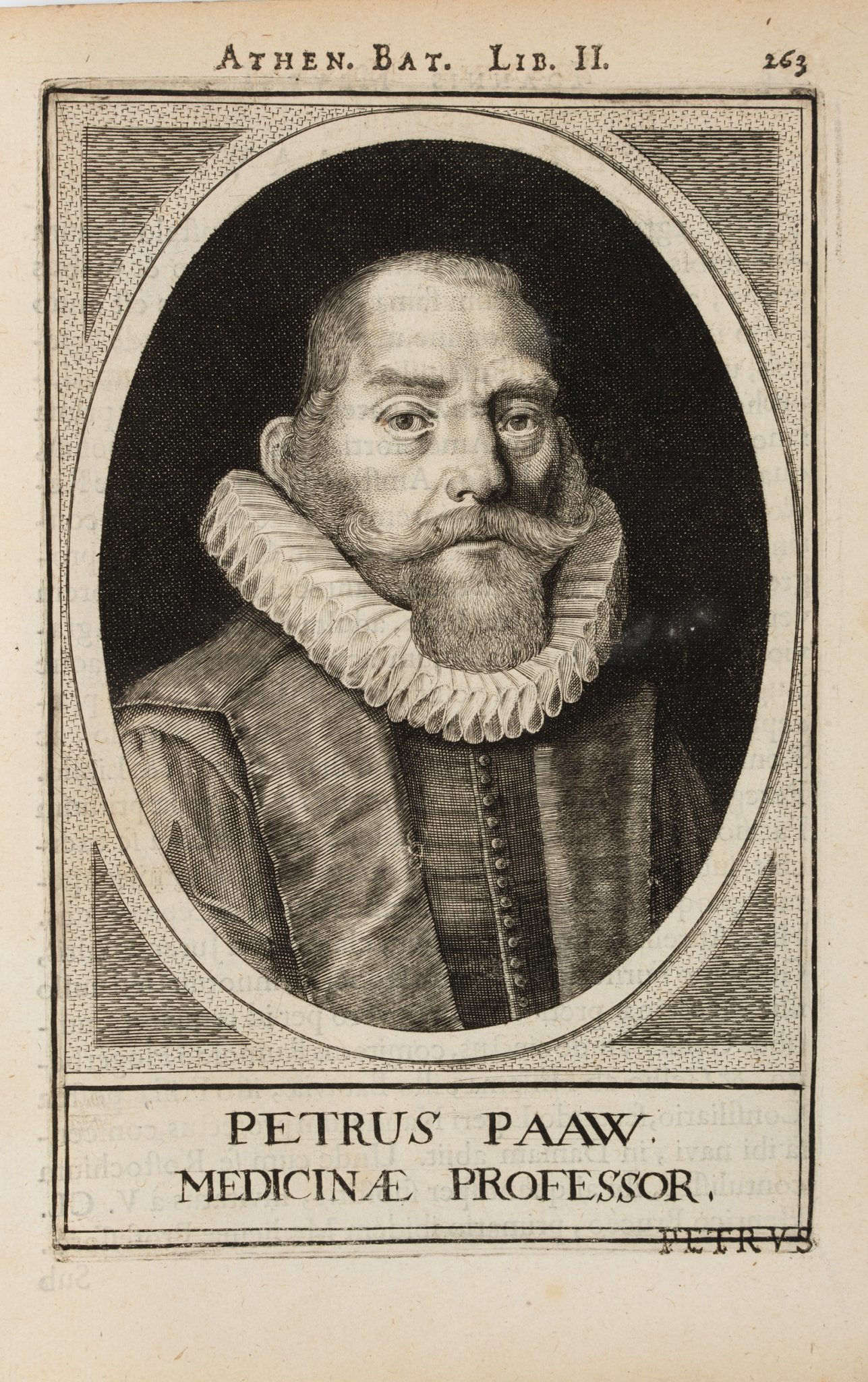 Portrait des Peter Pauw