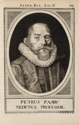 Portrait des Peter Pauw