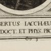 Ansicht 4