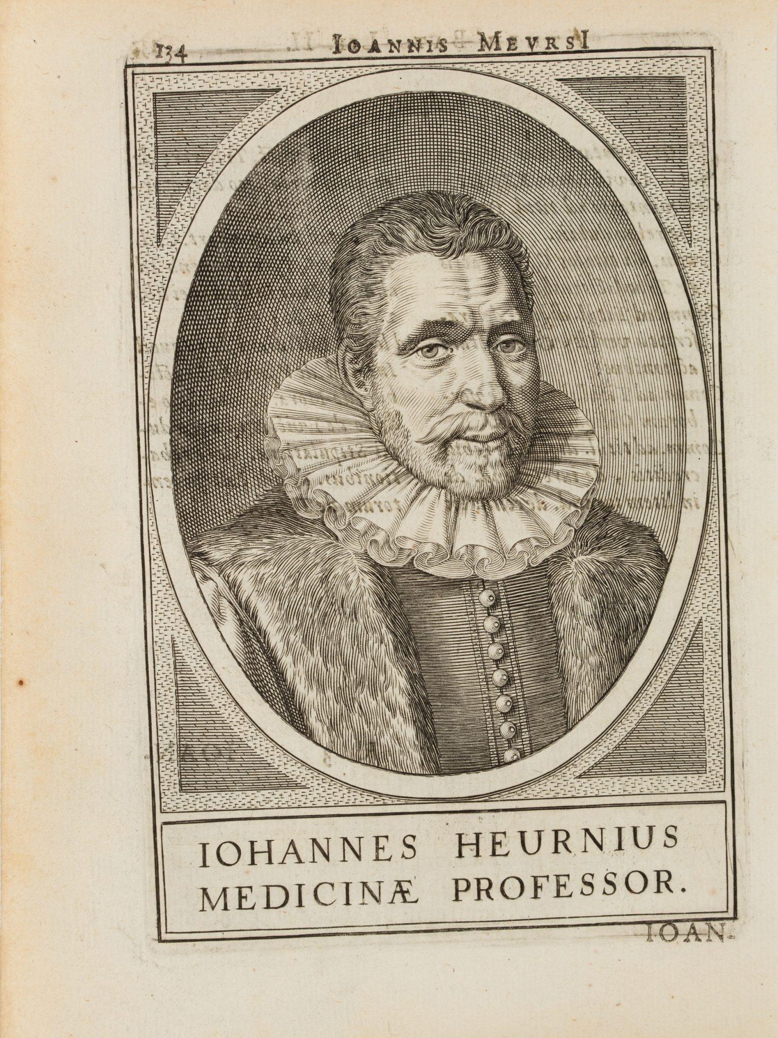 Portrait des Johannes Heurnius