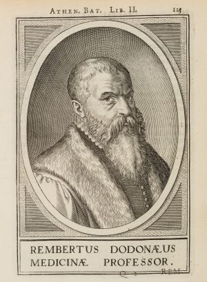 Portrait des Rembert Dodoens