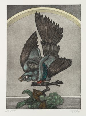 Greifvogel auf Ast