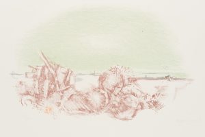 "Angeschwemmtes" Strandgut