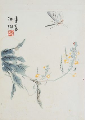 Blüten und Schmetterling