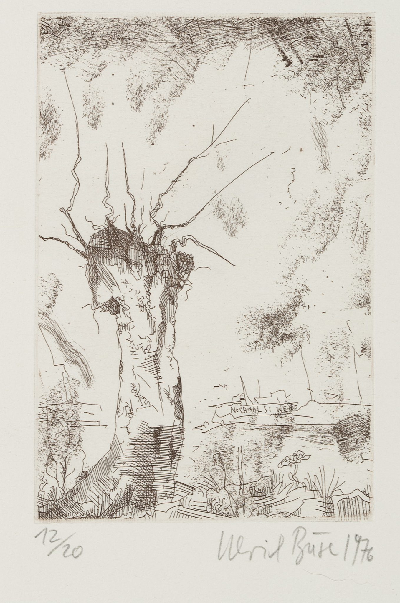 Weide in spärlicher Landschaft