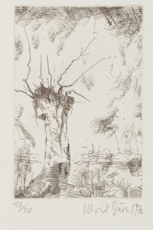 Weide in spärlicher Landschaft