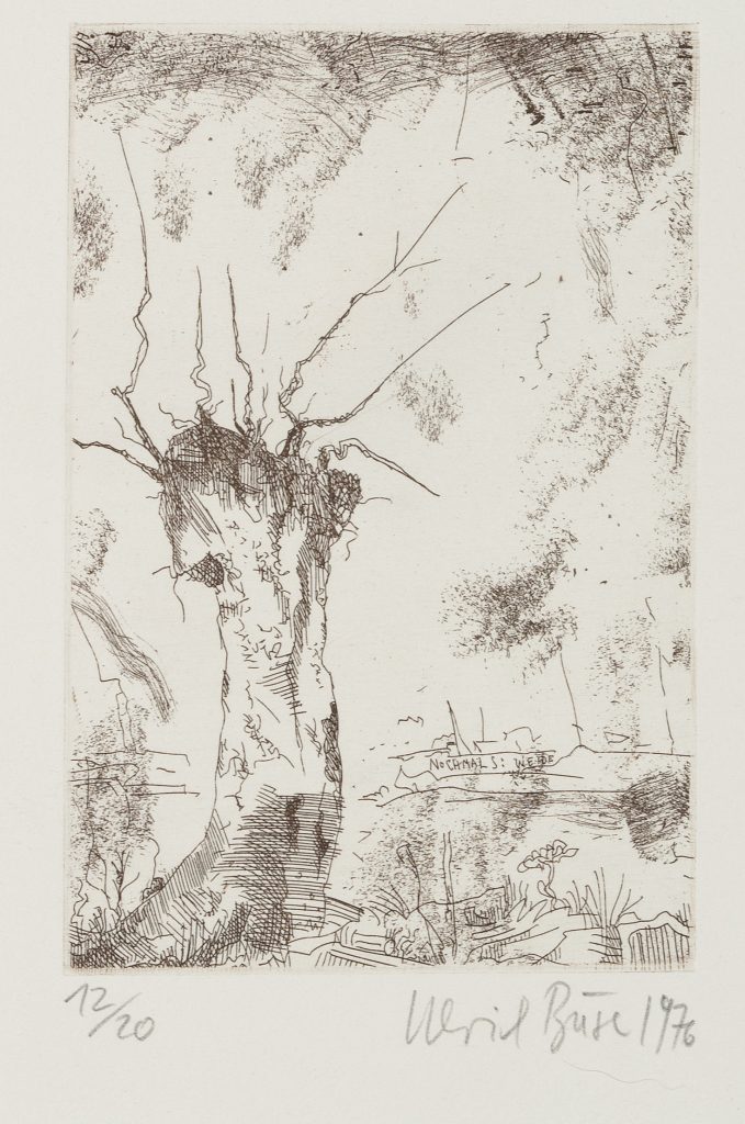 Werk von Ulrich Buse