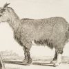 Ansicht 4
