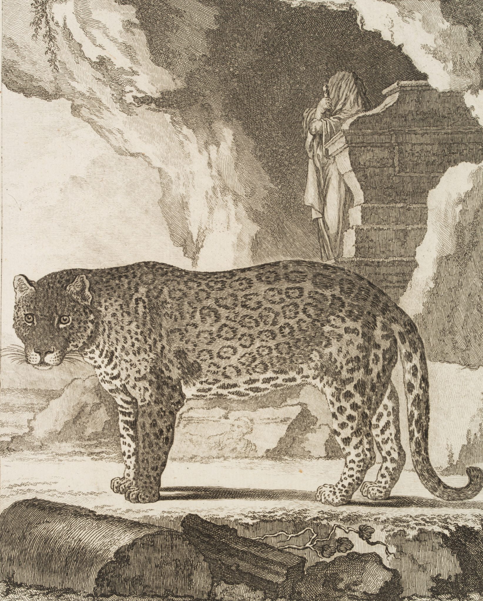 Darstellung eines Leopards