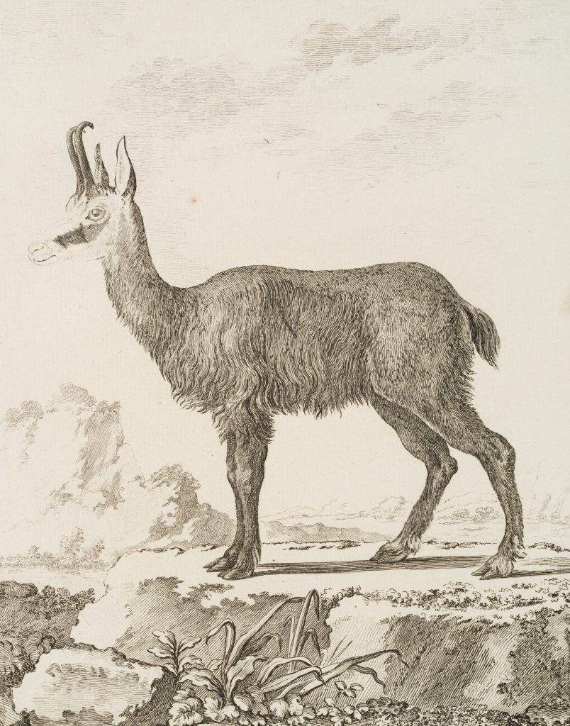 Werk von Antoine Jean Defehrt
