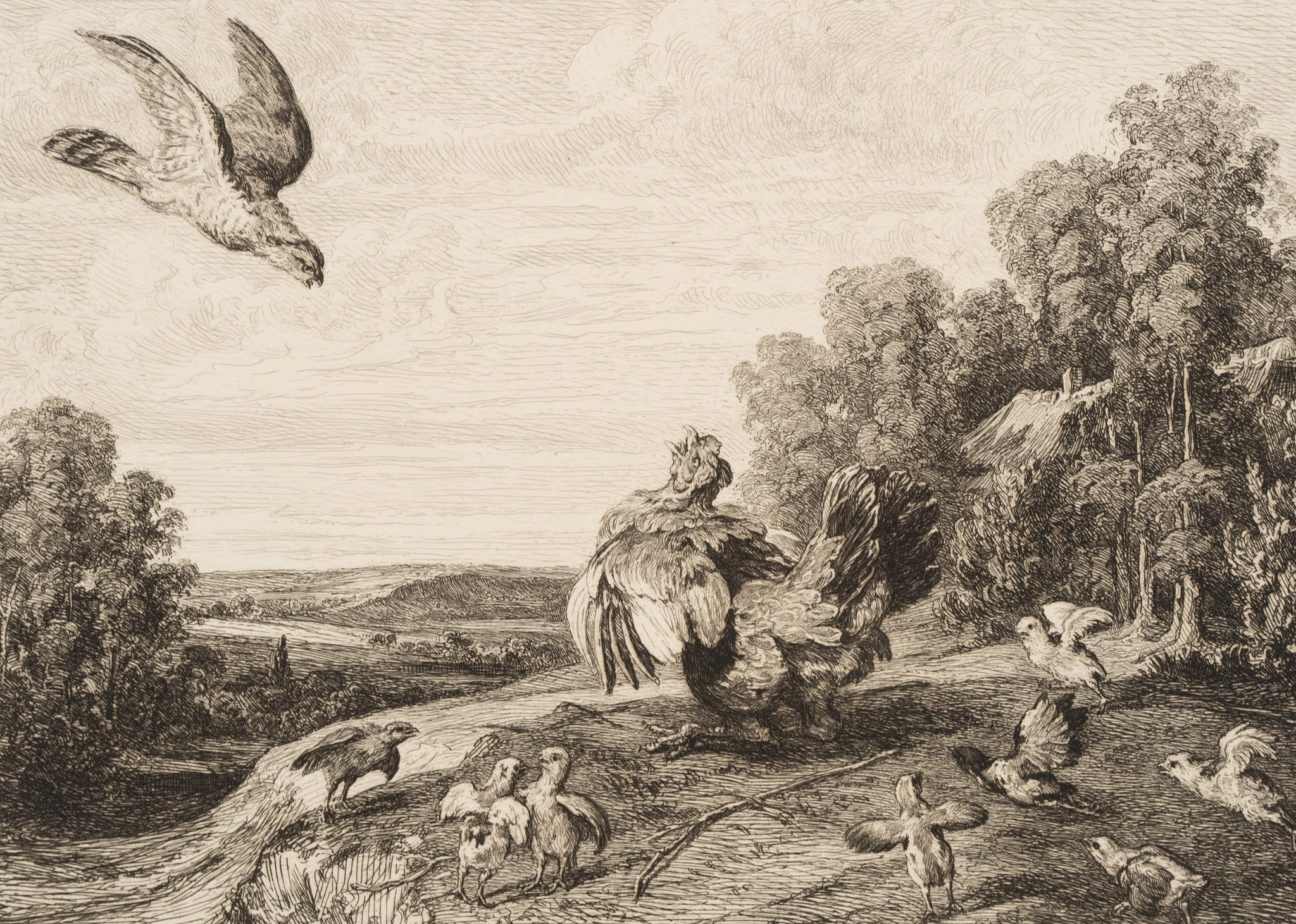 "Hahnenkampf" Landschaft mit Vögeln