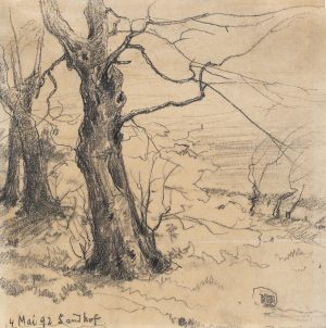 Alter Baum bei Sandhof