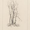 Ansicht 1