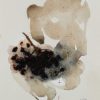 Ansicht 1