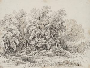 Weiher mit Bäumen