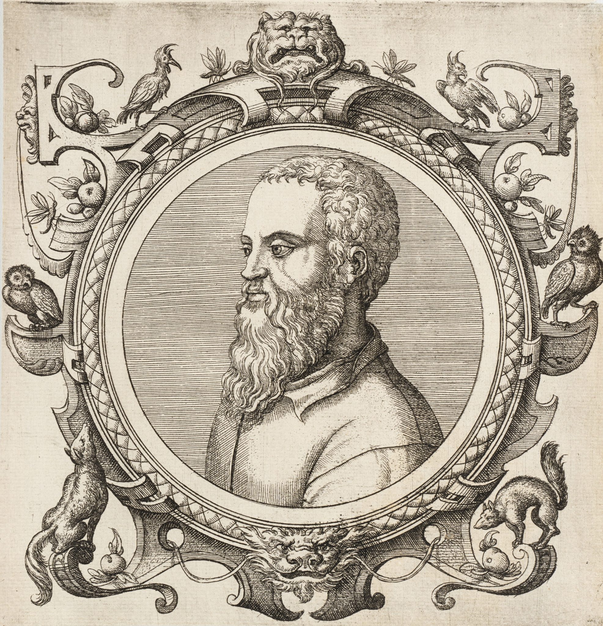 Guillaume Rondelet, Naturforscher
